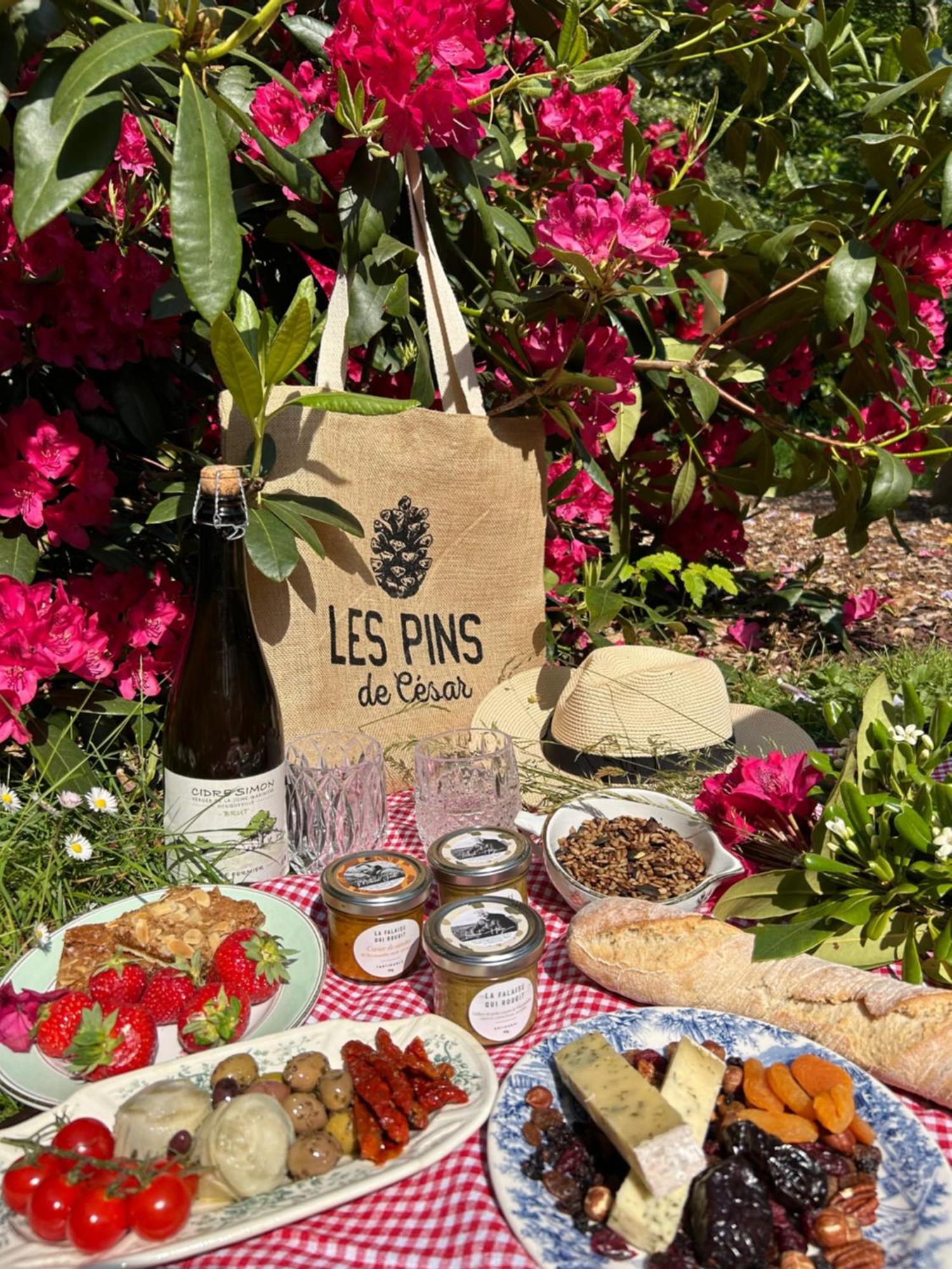 Les Pins De Cesar - La Campagne D'Etretat Hotell Saint-Jouin-Bruneval Exteriör bild