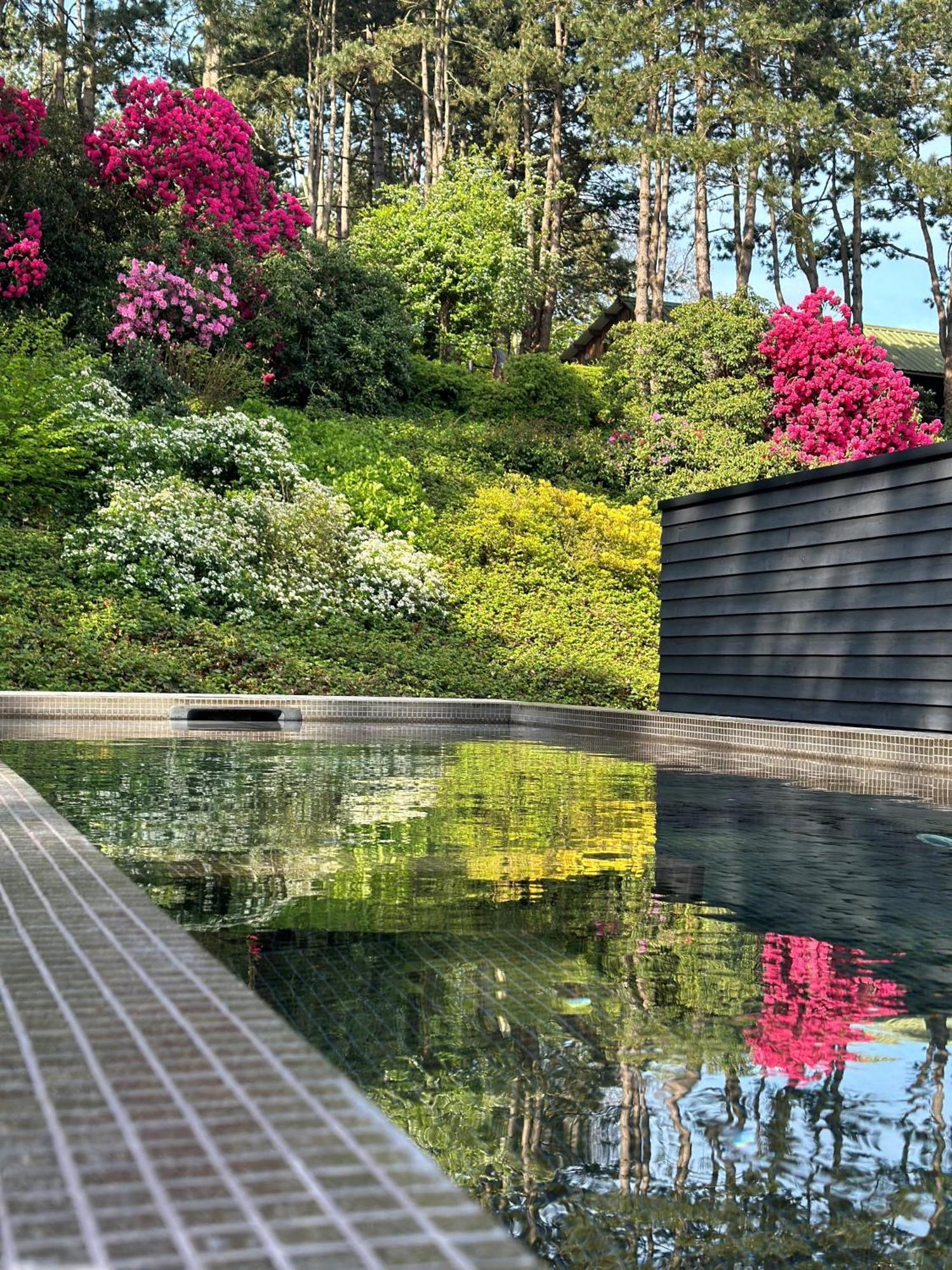 Les Pins De Cesar - La Campagne D'Etretat Hotell Saint-Jouin-Bruneval Exteriör bild